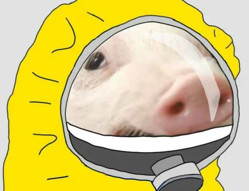 🐽 Стикер «Corona Pepe» для Telegram