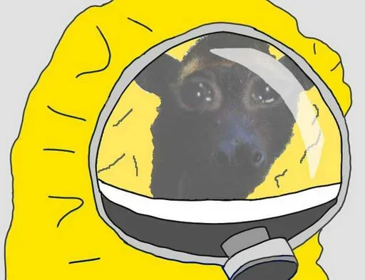 🥺 Стикер «Corona Pepe» для Telegram