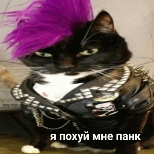 🤟 Стикер «STИКЕРЫ-XYИКЕРЫ vol.1» для Telegram