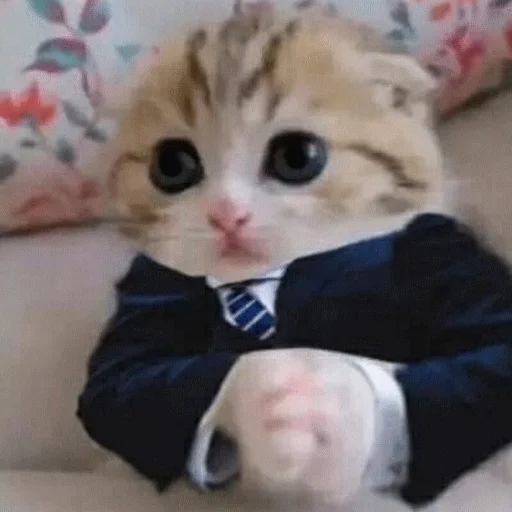 🤵‍♂️ Стикер «STИКЕРЫ-XYИКЕРЫ vol.1» для Telegram