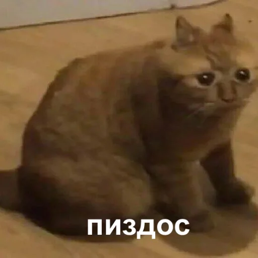 😫 Стикер «STИКЕРЫ-XYИКЕРЫ vol.1» для Telegram