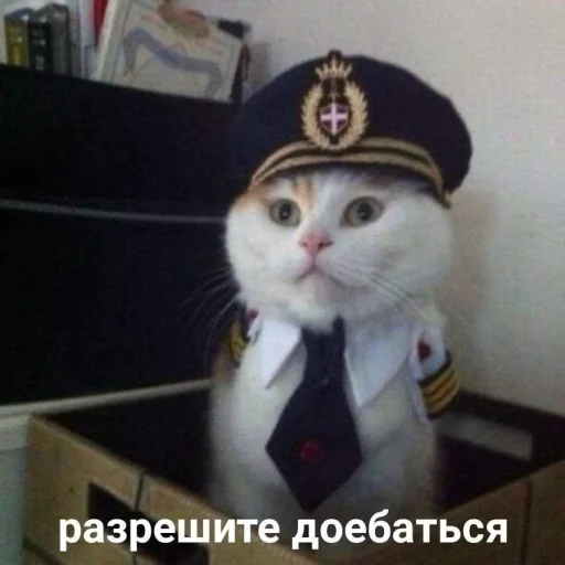 🫡 Стикер «STИКЕРЫ-XYИКЕРЫ vol.1» для Telegram