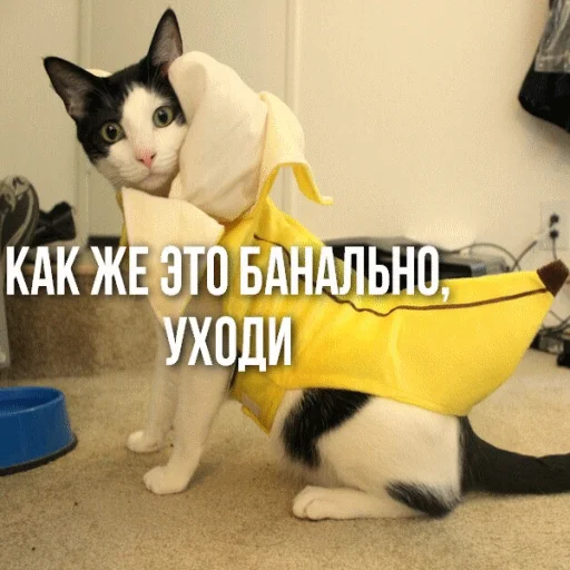 🍌 Стикер «STИКЕРЫ-XYИКЕРЫ vol.1» для Telegram