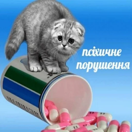 🤪 Стикер «STИКЕРЫ-XYИКЕРЫ vol.1» для Telegram