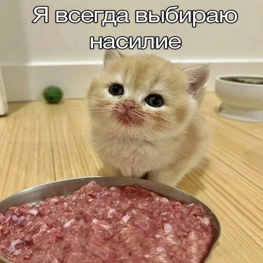 😈 Стикер «STИКЕРЫ-XYИКЕРЫ vol.1» для Telegram