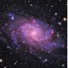 Стикер 53 cosmolol