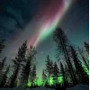 Стикер 55 Ёжик И Звёзды