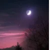Стикер 2 Ёжик И Звёзды