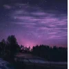 Стикер 4 Ёжик И Звёзды
