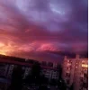 Стикер 40 Ёжик И Звёзды