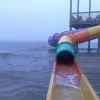 Стикер 45 Ёжик И Звёзды