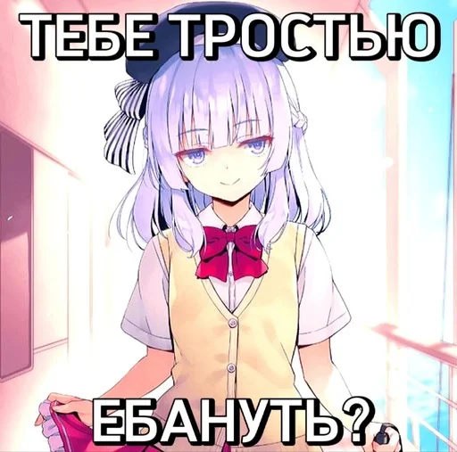 🧐 Стикер «COTE» для Telegram