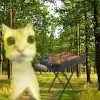 Стикер 28 Сотик Про