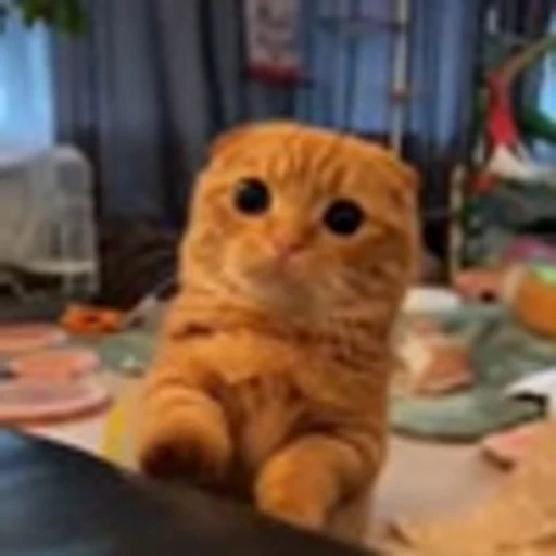 🤩 Эмодзи «Котиксы» для Telegram