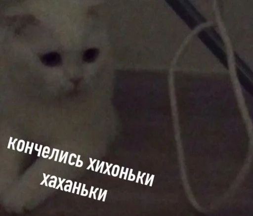 👺 Стикер «Cvcv» для Telegram