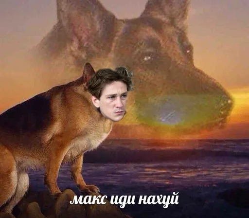 🐶 Стикер «Cvcv» для Telegram