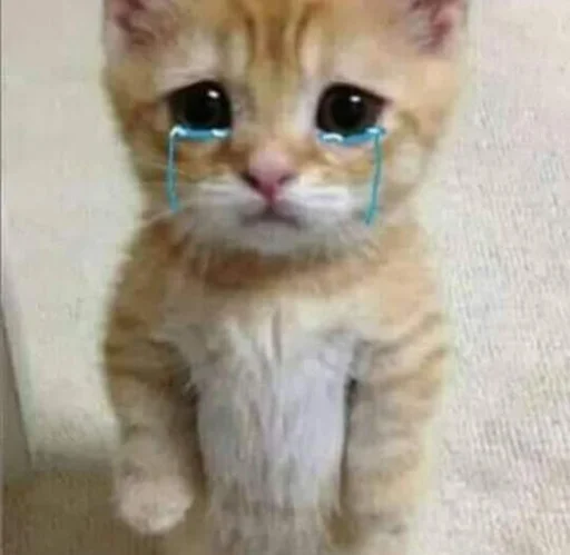 😓 Стикер «Cvcv» для Telegram