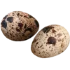 Стикер 45 Cottagecore Dreams