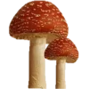 Обложка набора Cottagecore Dreams