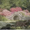 Стикер 35 Garden