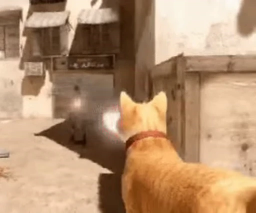 😽 Стикер «Counter Strike» для Telegram