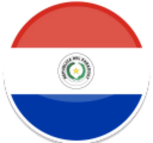 🇵🇾 Стикер «Copa America» для Telegram