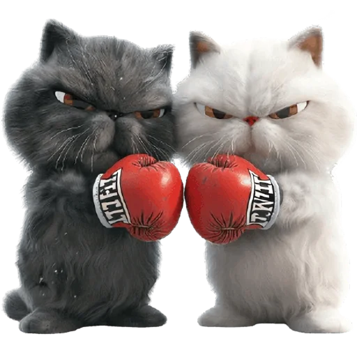 😤 Стикер «Парные котейки» для Telegram