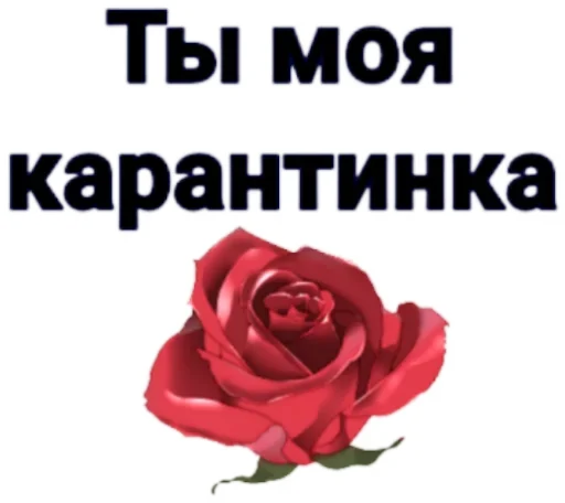 😍 Стикер «Tobi Piz**a» для Telegram