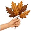 🍂 Эмодзи «cozy autumn» для Telegram