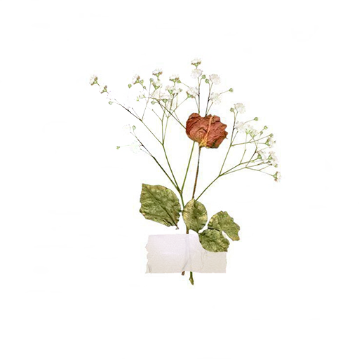 🌿 Стикер «atmosphere» для Telegram