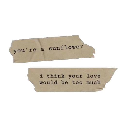 🌻 Стикер «atmosphere» для Telegram