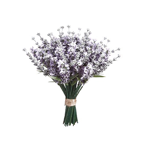🌸 Стикер «atmosphere» для Telegram