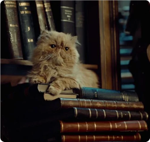 🐱 Стикер «cozy Matilda» для Telegram