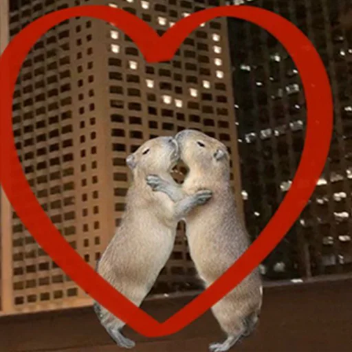 ❤️ Стикер «Capybara&;s world» для Telegram