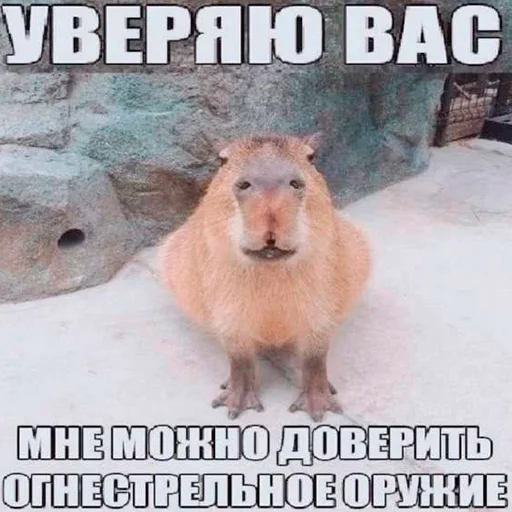 🤭 Стикер «Capybara&;s world» для Telegram
