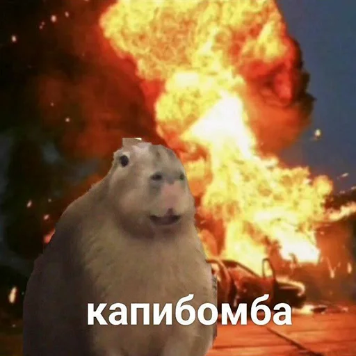 🙂 Стикер «Capybara&;s world» для Telegram