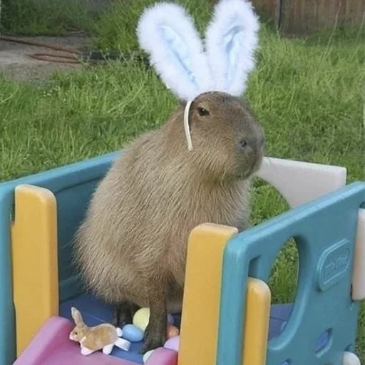 🤡 Стикер «Capybara&;s world» для Telegram