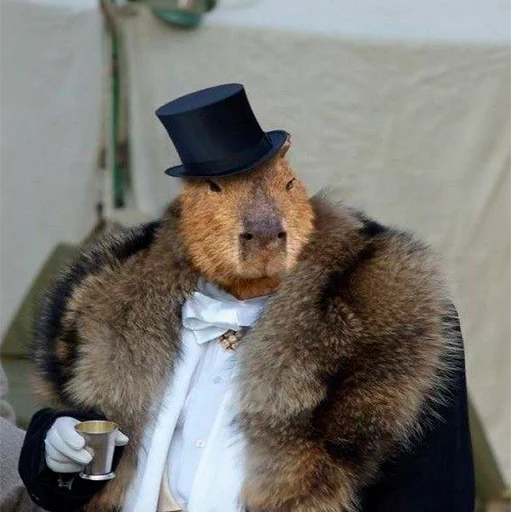 🤑 Стикер «Capybara&;s world» для Telegram