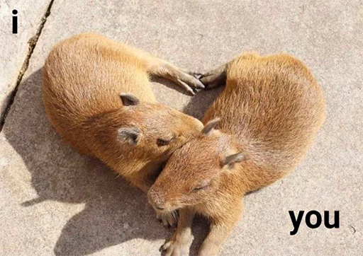 Стикерпак Capybara&amp;;s world для Telegram — скачать