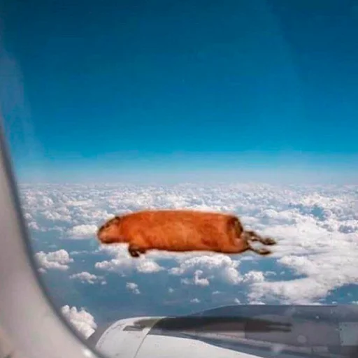 🤩 Стикер «Capybara&;s world» для Telegram
