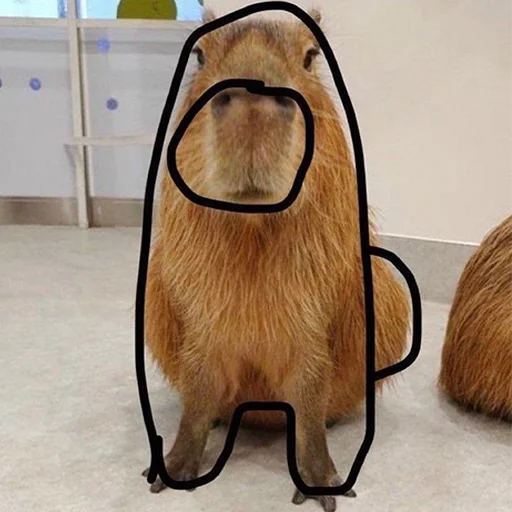 🤡 Стикер «Capybara&;s world» для Telegram