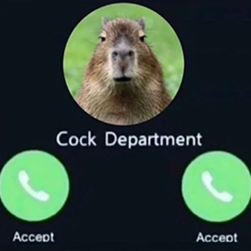 ☎️ Стикер «Capybara&;s world» для Telegram