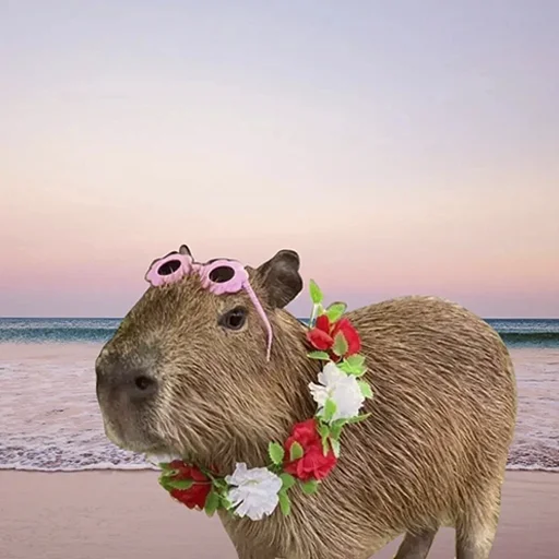 😎 Стикер «Capybara&;s world» для Telegram