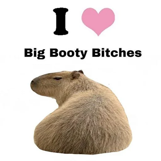 ❤️ Стикер «Capybara&;s world» для Telegram