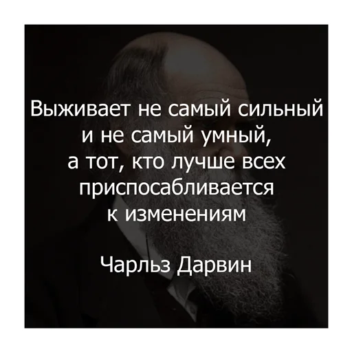 💪 Стикер «Цитаты Платона» для Telegram
