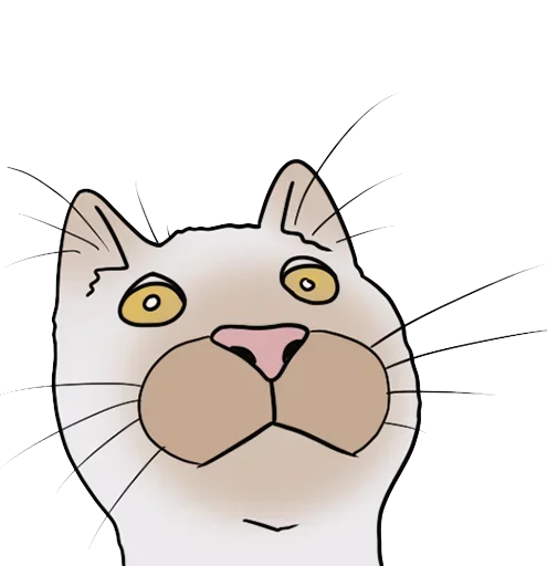 😭 Стикер «Crazy Cats» для Telegram