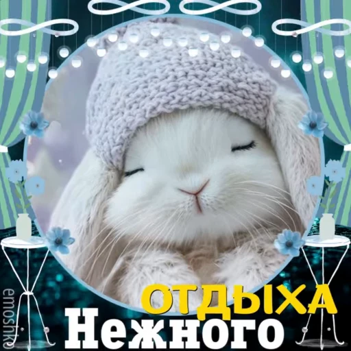 🌖 Стикер «Вечер и Ночь» для Telegram