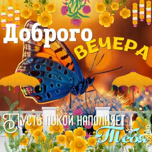 Стикерпак Вечер и Ночь для Telegram