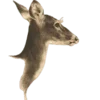 Стикер 23 Creature Feature