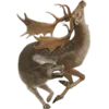 Стикер 7 Creature Feature